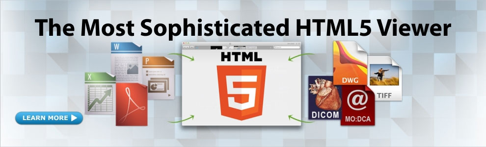 HTML5 eViewer 